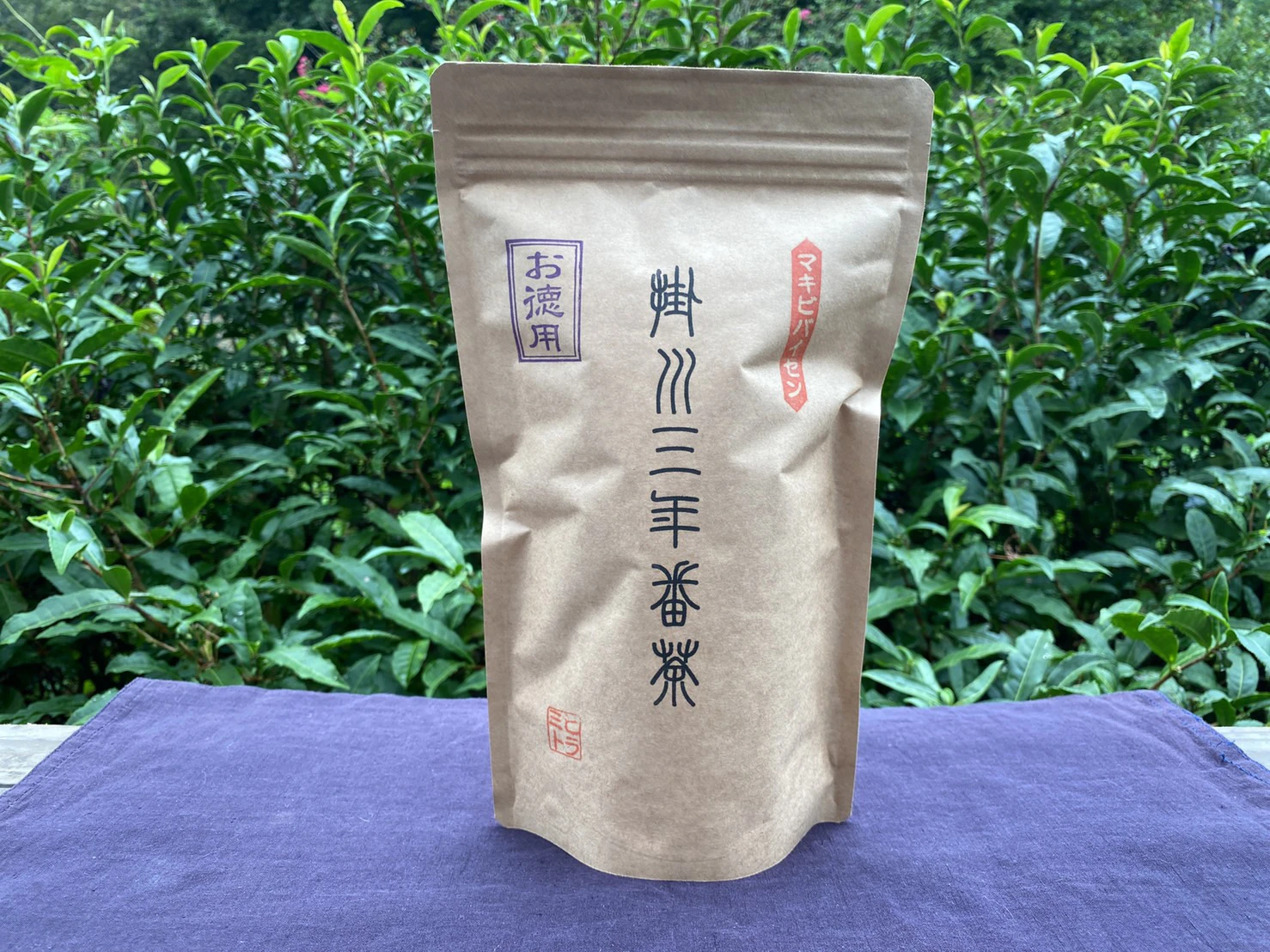 掛川三年番茶【徳用】